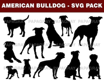 Silhouettes de bouledogue américain SVG - 11 modèles | Téléchargement numérique | Bouledogue américain, bouledogue PNG, American Bully graphique Svg