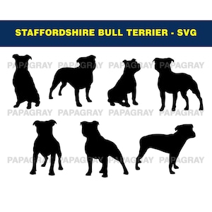 Staffordshire-bulterriër SVG Dog Silhouette Pack - 7 ontwerpen | Digitale download | Staffy Bull Terrier SVG, gesneden bestanden, afbeeldingen honden