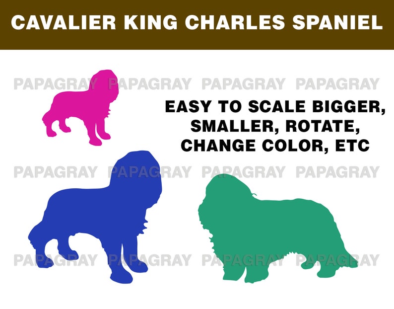 Digital Download 8 Designs Cavalier King Charles Spaniel Dog Silhouette Pack Cavalier King Charles Cavalier King Charles Spaniel SVG