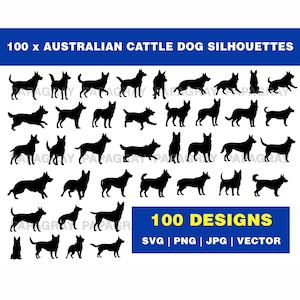 Puede incluir: Imagen con 100 siluetas negras de perros ganaderos australianos en varias poses. La imagen incluye el texto "100 x AUSTRALIAN CATTLE DOG SILHOUETTES" y "100 DESIGNS SVG | PNG | JPG | VECTOR" sobre un fondo azul.