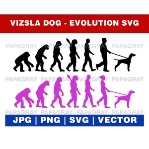 Vizsla Hund SVG Entwicklung Grafik | Digitaler Download | Vizsla Hund PNG, Vizsla Hund Silhouette, Vizsla Hund Grafik