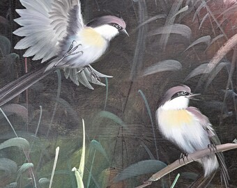 二羽の鳥 絵画 油彩画 油絵 F4 oil painting art 素晴らしく美しい、かなり大きな2羽の鳥の油絵。キャンバスに描かれて