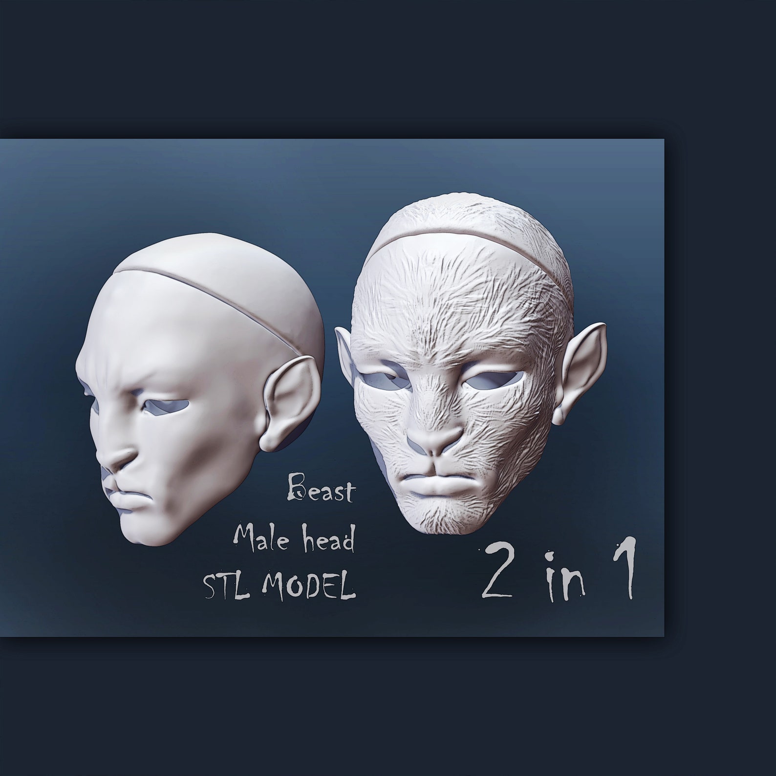 Head h c