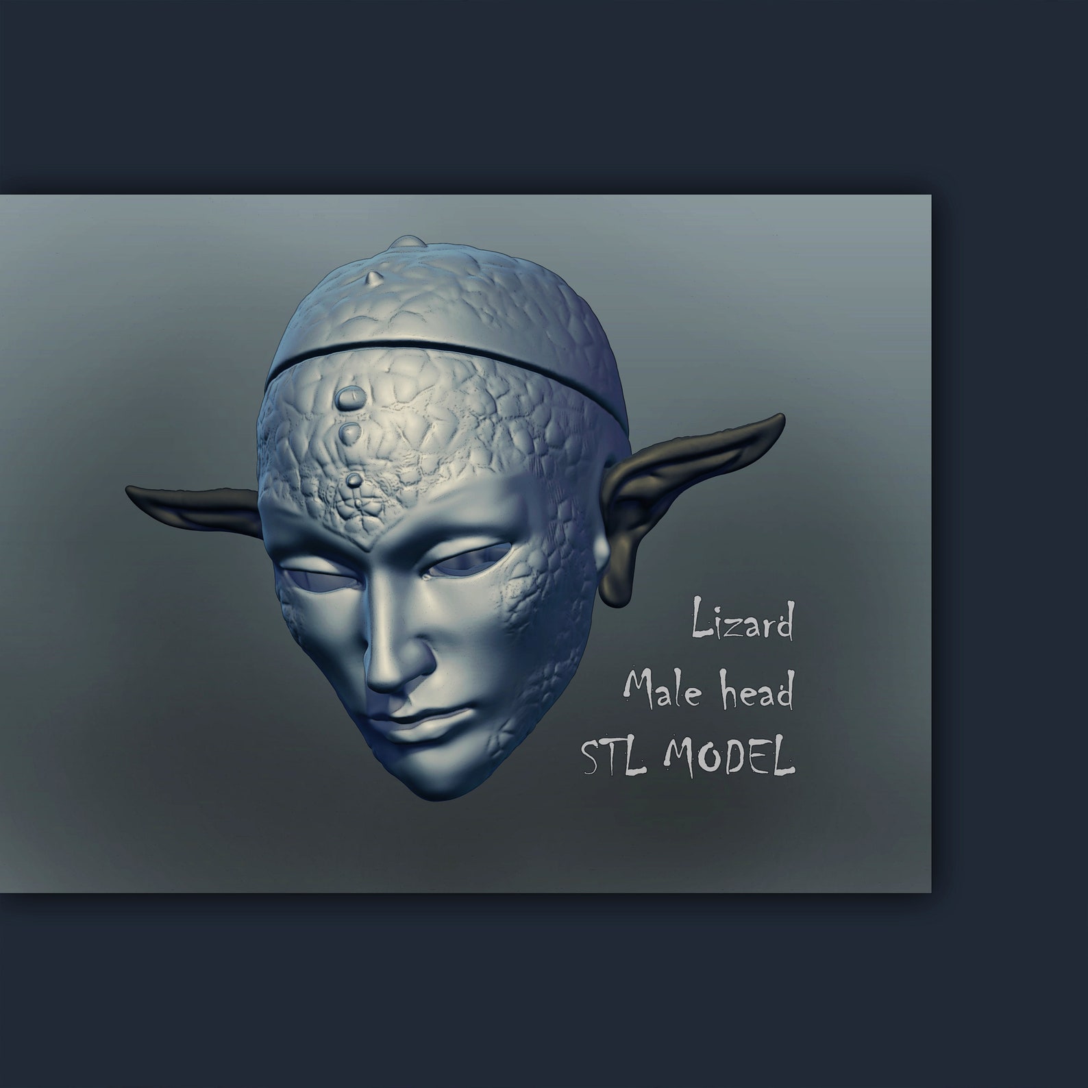 Head h c