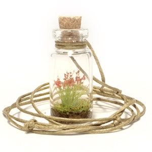 Glass bottle necklace with Wild Flowers Miniature firm vegan leather white cord Tiny Bouquet Diorama in a bottle to show off to everyone image 6