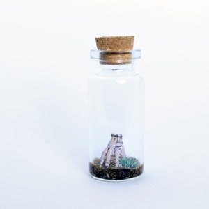 Thing Diorama in a glass bottle Wednesday Addams Family Thing Miniature, Best Creepy Gift for Gothic Home Decor & Horror Movie Art lovers