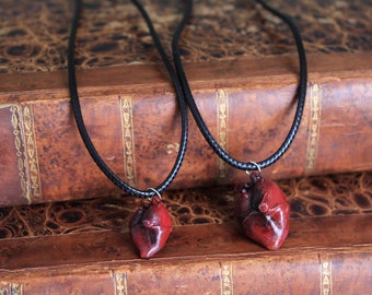 Anatomische hart charme vriendschap ketting | Veganistisch koord, Real Heart Jewellery, groot/klein of als set | Beste vriend cadeau of koppels aanwezig