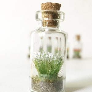 Glass bottle necklace with Wild Flowers Miniature firm vegan leather white cord Tiny Bouquet Diorama in a bottle to show off to everyone image 2