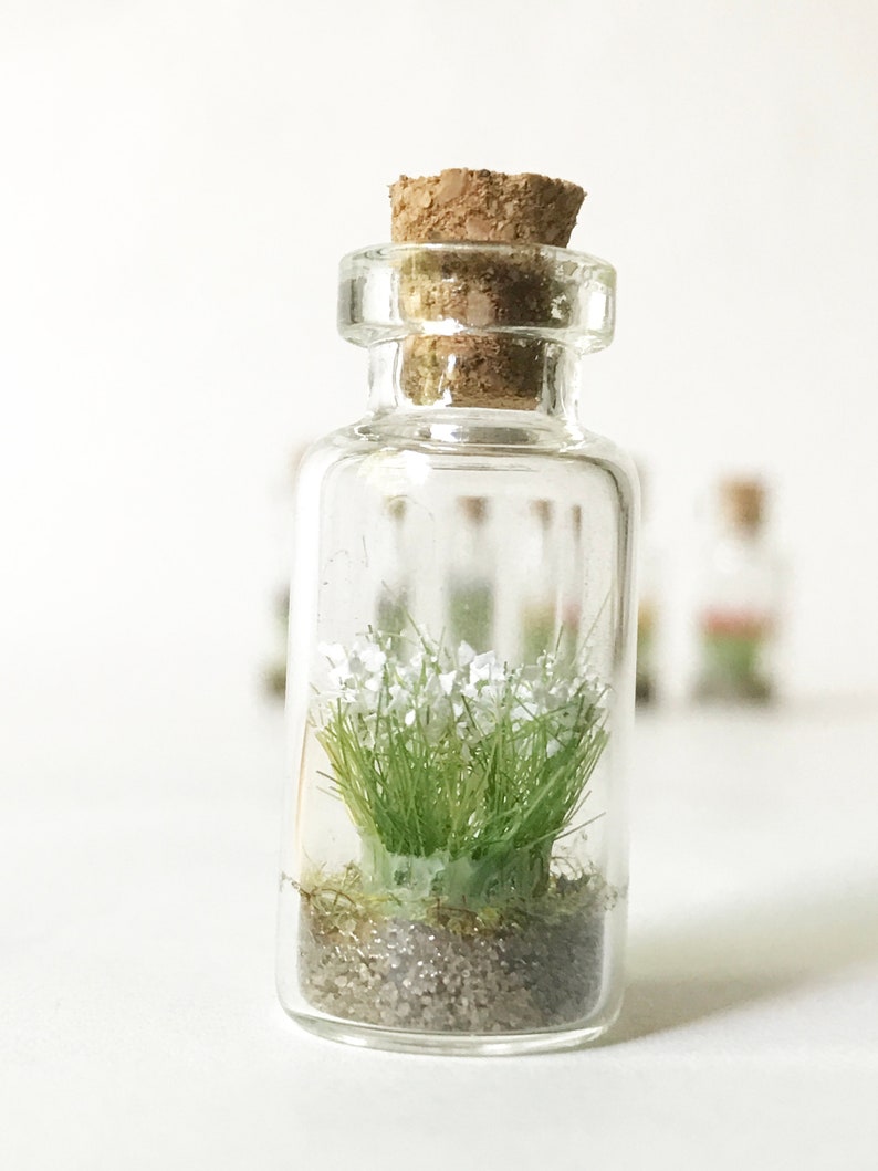 Glass bottle necklace with Wild Flowers Miniature firm vegan leather white cord Tiny Bouquet Diorama in a bottle to show off to everyone image 2