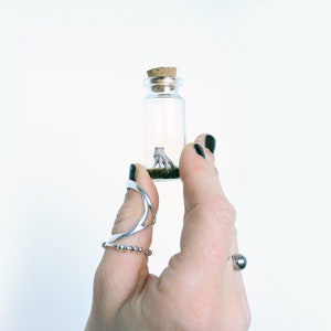 Hand holding a glass botttle with Artisan Diorama Wednesday Addams Family Thing Miniature, Best Creepy Gift in a Bottle for Gothic Home Decor & Horror Movie Art lovers made by Stefanie Bonte