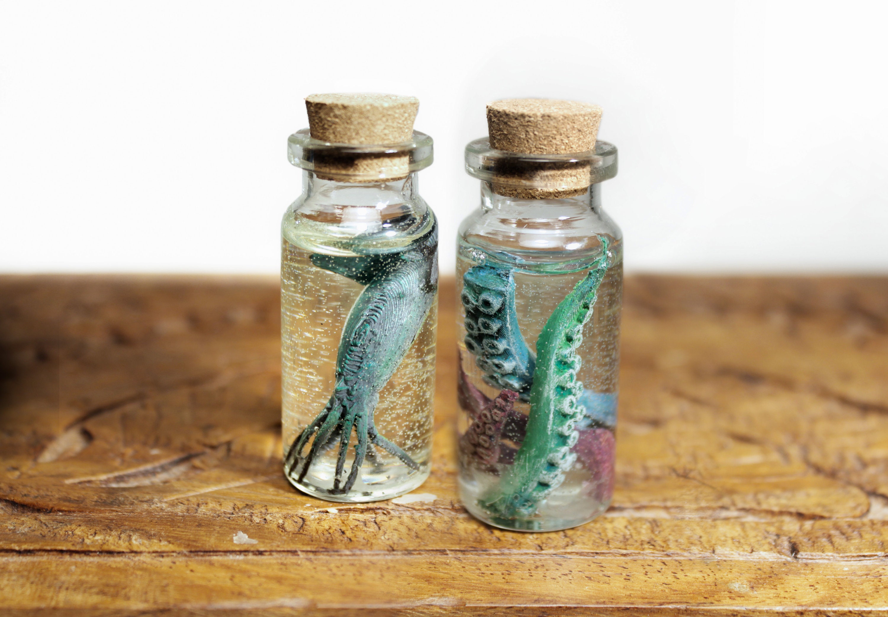Wet Specimen Tentacles / formaldehyde jar with squids and Etsy
