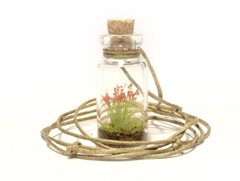 Glass bottle necklace with Wild Flowers Miniature firm vegan leather white cord Tiny Bouquet Diorama in a bottle to show off to everyone image 6