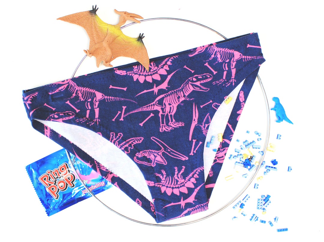 Funky Dinosaurs Panty That Will Stand Out Purple and Pink, Midrise