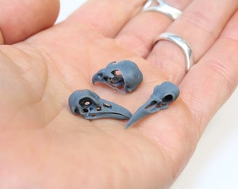 Miniature Bird Skulls | Raven, Crow and Hawk 3D printed Skulls for Jewelry and Dollhouse Decoration | Tiny Animal Skull Replicas, 3 pcs Set