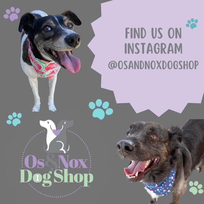K&ouml;nnte beinhalten: Zwei Hunde mit Bandanas, einer mit Wassermuster und der andere mit blauem Muster. Das Bild enth&auml;lt den Text "FIND US ON INSTAGRAM @OSANDNOXDOGSHOP" und ein Logo f&uuml;r Os & Nox Dog Shop.