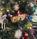 Custom animal Christmas tree decoration, memorial gift, felt animal, Christmas gift, needle felt dog