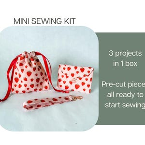 May include: A mini sewing kit featuring a drawstring pouch, a small envelope-style wallet, and a wrist strap, all made from light pink fabric with a red strawberry print. The text reads MINI SEWING KIT, 3 projects in 1 box, and Pre-cut pieces all ready to start sewing.