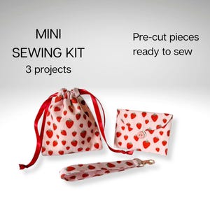 May include: A mini sewing kit with three projects featuring pre-cut pieces ready to sew. The set includes a drawstring pouch, a small envelope-style wallet with a button closure, and a wrist strap, all made from light pink fabric with a red strawberry print.