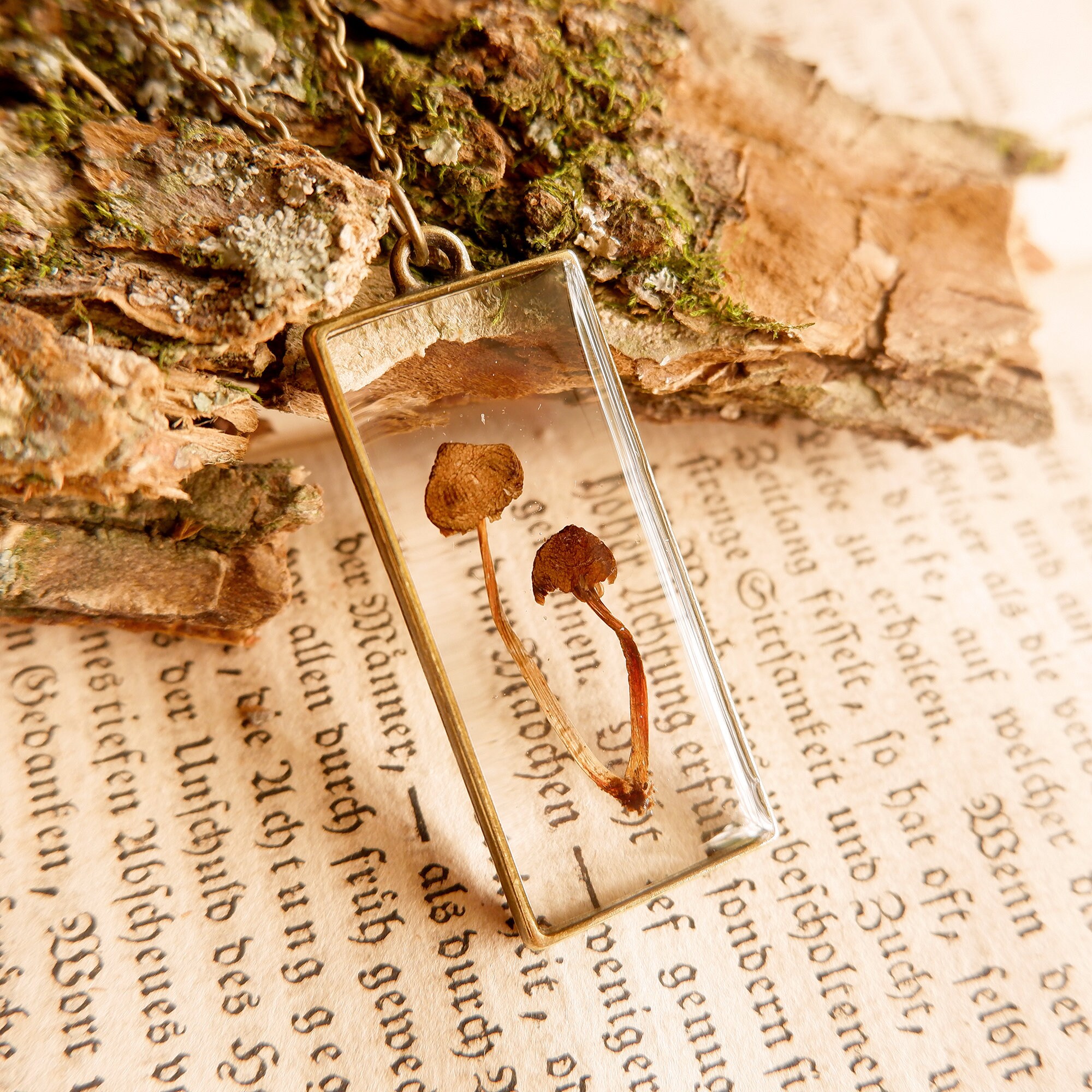 Pressed Mushroom Resin Pendant Natural Dried Mushroom Etsy