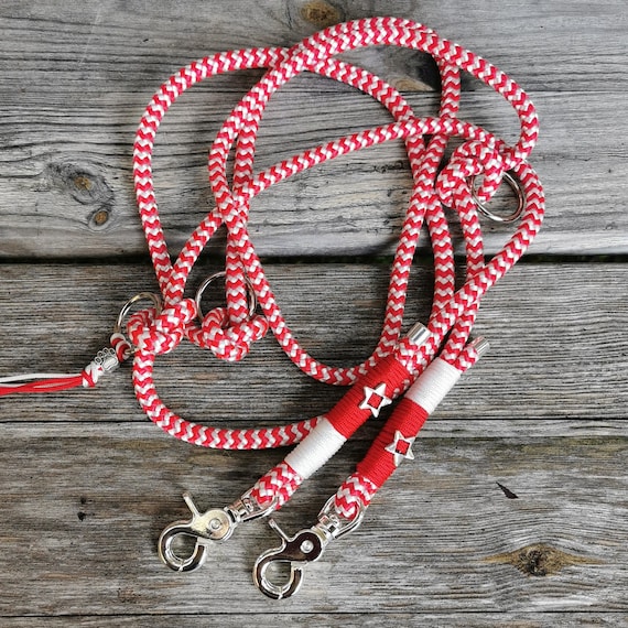 Dog leash accessories 2025