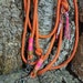 personalisierte Tauleine, Hundeleine, orange-pink, Namensanhänger, 3fach verstellbar