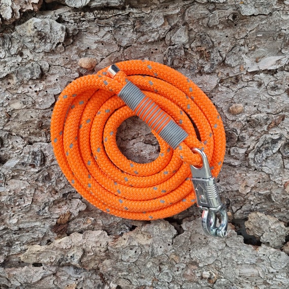 Corde de Plomb d'entraînement pour Chevaux,Corde pour Chevaux Corde de Plomb d'entraînement pour Chevaux,Corde pour Chevaux