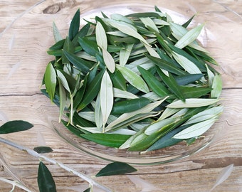 Olive leaves hand picked from Greece