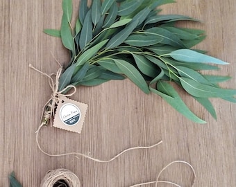 Fresh Eucalyptus Branches - Set of 8, 30 cm (12 inches)