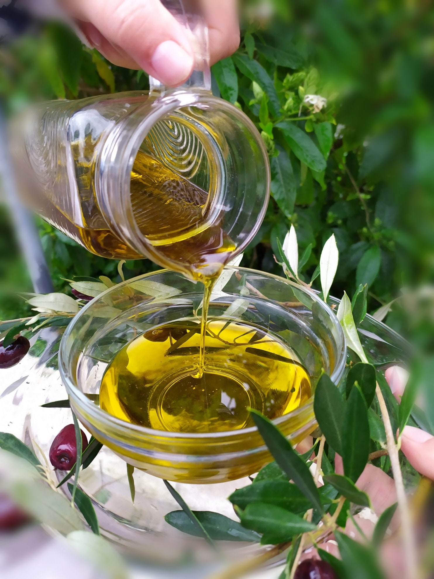 Olive Oil Greek Extra Virgin 2021 Etsy