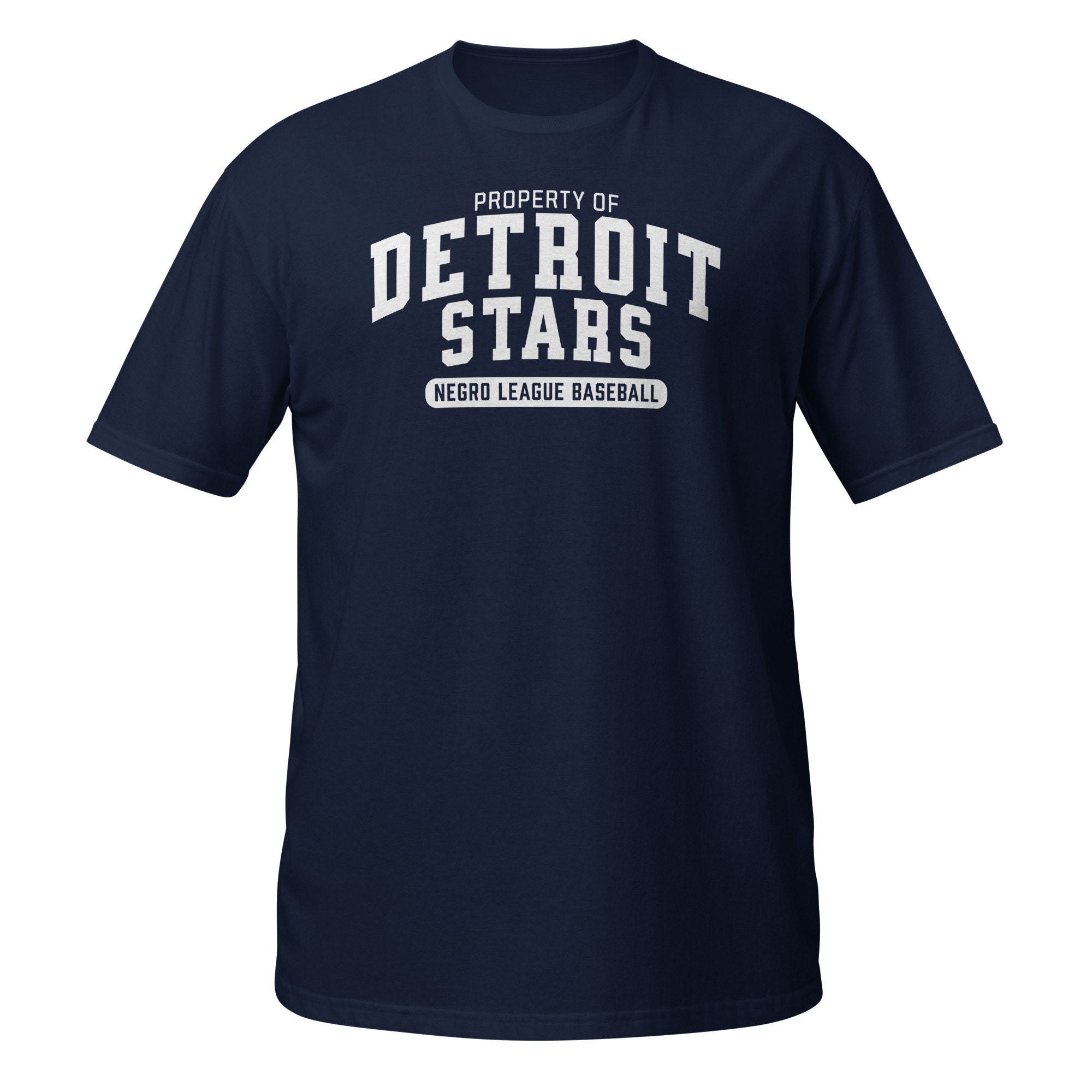 Property of Detroit Stars Negro League Baseball, Black History