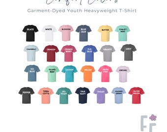 T-shirt brodé Big Brother Comfort Colors T-shirt personnalisé avec