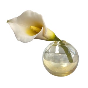 May include: A single white calla lily with a yellow centre in a clear glass vase with a gold tint.