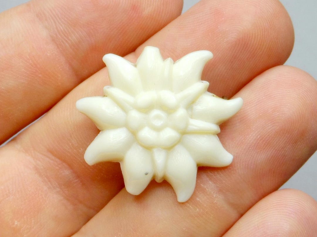 エーデルワイス、ヴィンテージの大きなプラスチック製ブローチ