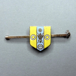 Könnte beinhalten: Eine Vintage-Anstecknadel mit einem schildförmigen Emblem. Das Schild ist gelb mit einem zentralen blauen Streifen und weist kreisförmige und stilisierte Emblemdesigns auf. Die Nadel hat einen silberfarbenen Stab und Verschluss.