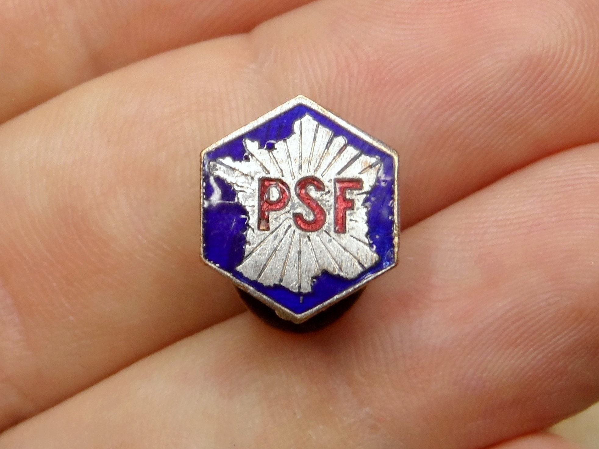 PSF, French Social Party. Enamel Buttonhole - Etsy