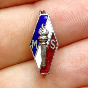 Croix de Feu, M S, Social Movement. Antique Enamel Brooch.