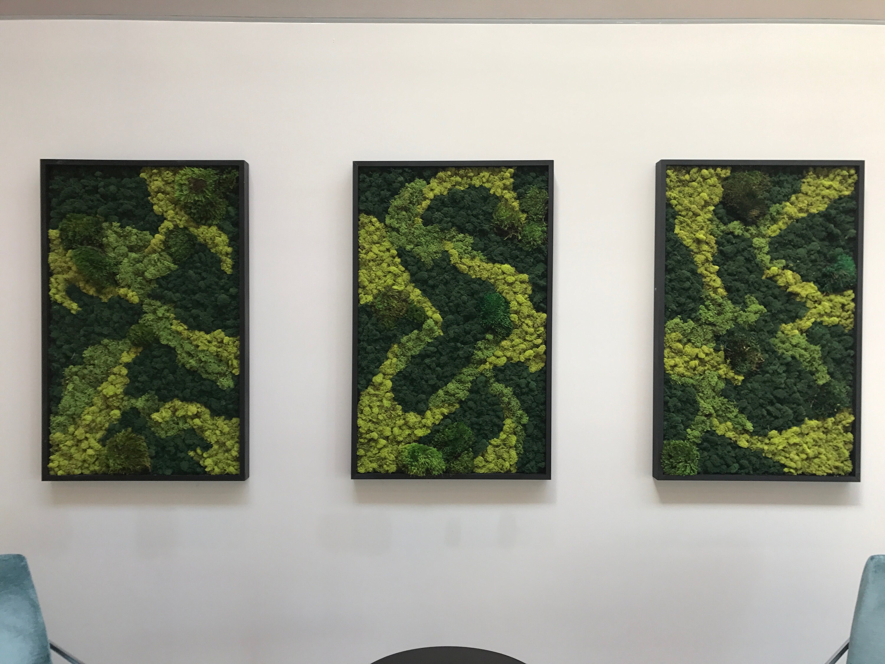 Preserved Moss Wall Art Etsy