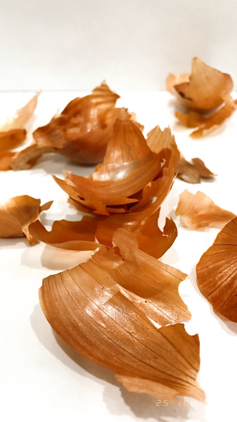 Onion Skin for Natural Dye 50gr Vegetable Dye Fabric Etsy