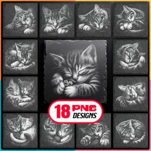 May include: A collection of 12 square coasters and one large square coaster, all featuring detailed grayscale illustrations of sleeping kittens. The coasters are made of a dark, textured material. The image also includes a red and white graphic that says "18 PNG Designs."