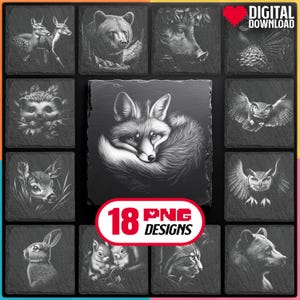 Forest Animals Laser Engraving Png Bundle for Digital Download for Glowforge, LightBurn, XTool for Slate Coaster, Commercial Use Too