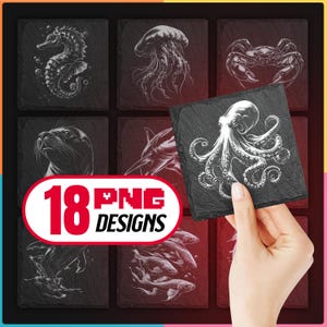 Paquete de archivos PNG de animales marinos para grabado láser, descarga digital para posavasos de pizarra submarinos, Glowforge, LightBurn, XTool, uso comercial