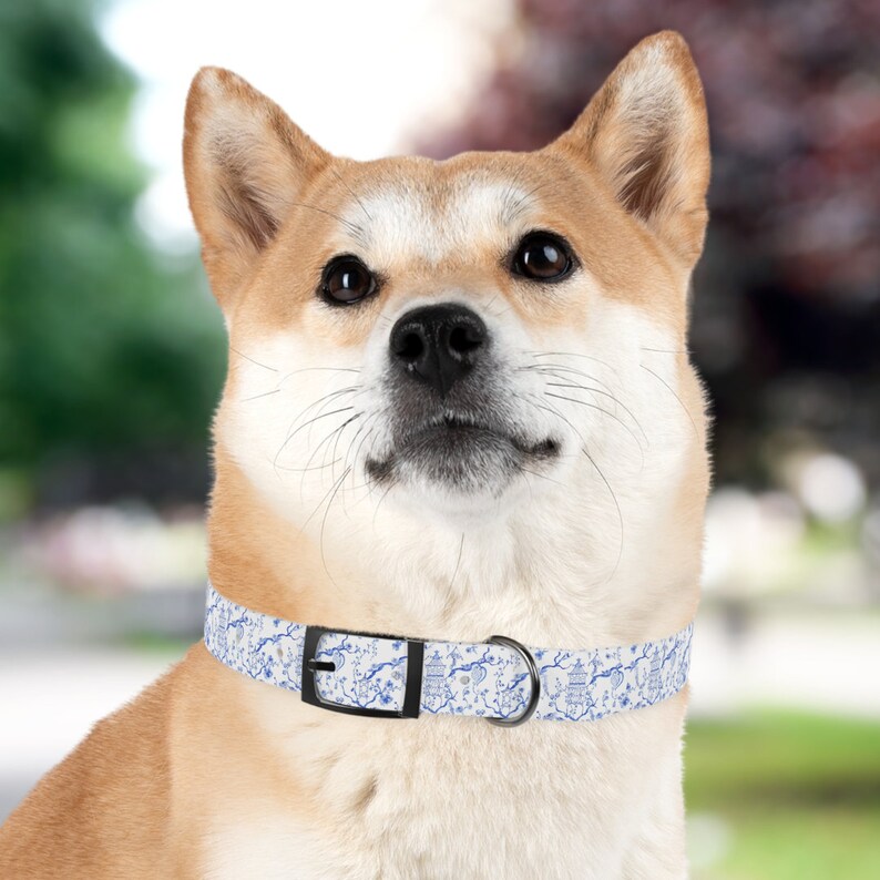 Op de afbeelding: Een Shiba Inu hond die een wit en blauw gepatroneerd hondenhalsband draagt met een zwarte gesp. De halsband heeft een blauw en wit bloemenpatroon met een pagodepatroon.