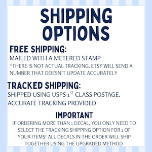 May include: A white background with blue stripes at the top and bottom. The text "SHIPPING OPTIONS" is in large, dark blue letters. Below, it lists "FREE SHIPPING" and "TRACKED SHIPPING" options.