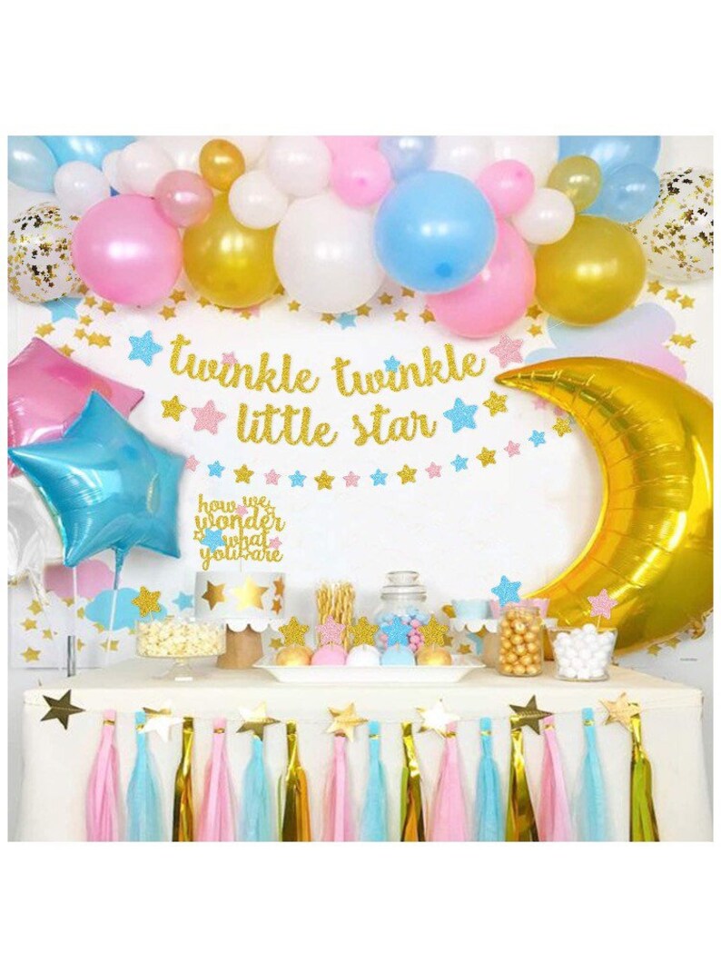 Gender Reveal Party Decorations Twinkle Twinkle Little Star Etsy