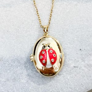 Collier médaillon coccinelle en or ou en argent - Bijoux de chance et de protection - Pendentif coccinelle en émail rouge - Cadeau pour elle - Charm amoureux de la nature
