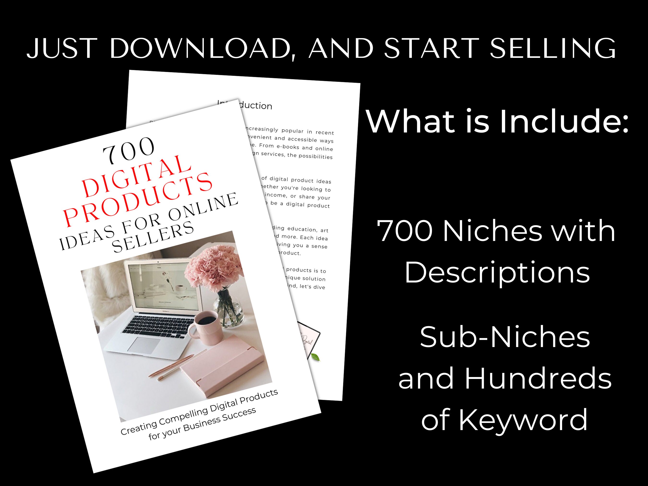 700 Digital Products Guide, Boost Your Online, Digital Niches and Sub