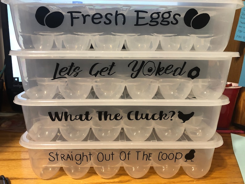 Egg Containers With Funny Sayings Reusable Egg Carton Etsy Canada