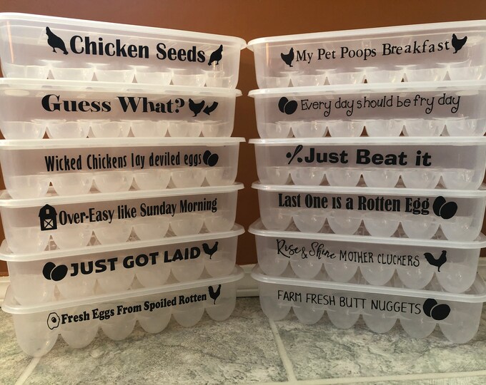 Egg Containers With Funny Sayings Reusable Egg Carton Etsy