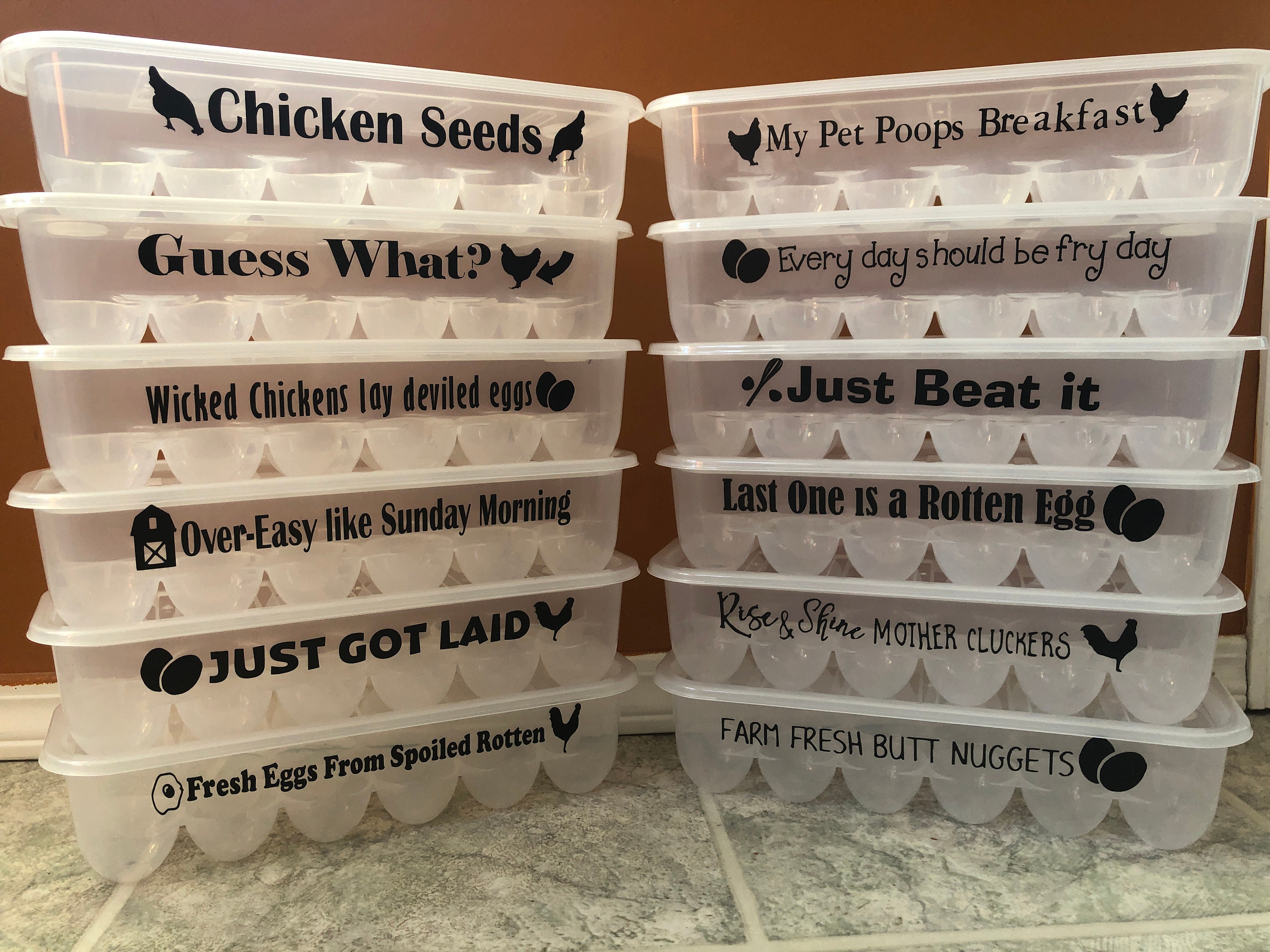 Egg Containers with Funny Sayings Reusable Egg Carton Etsy