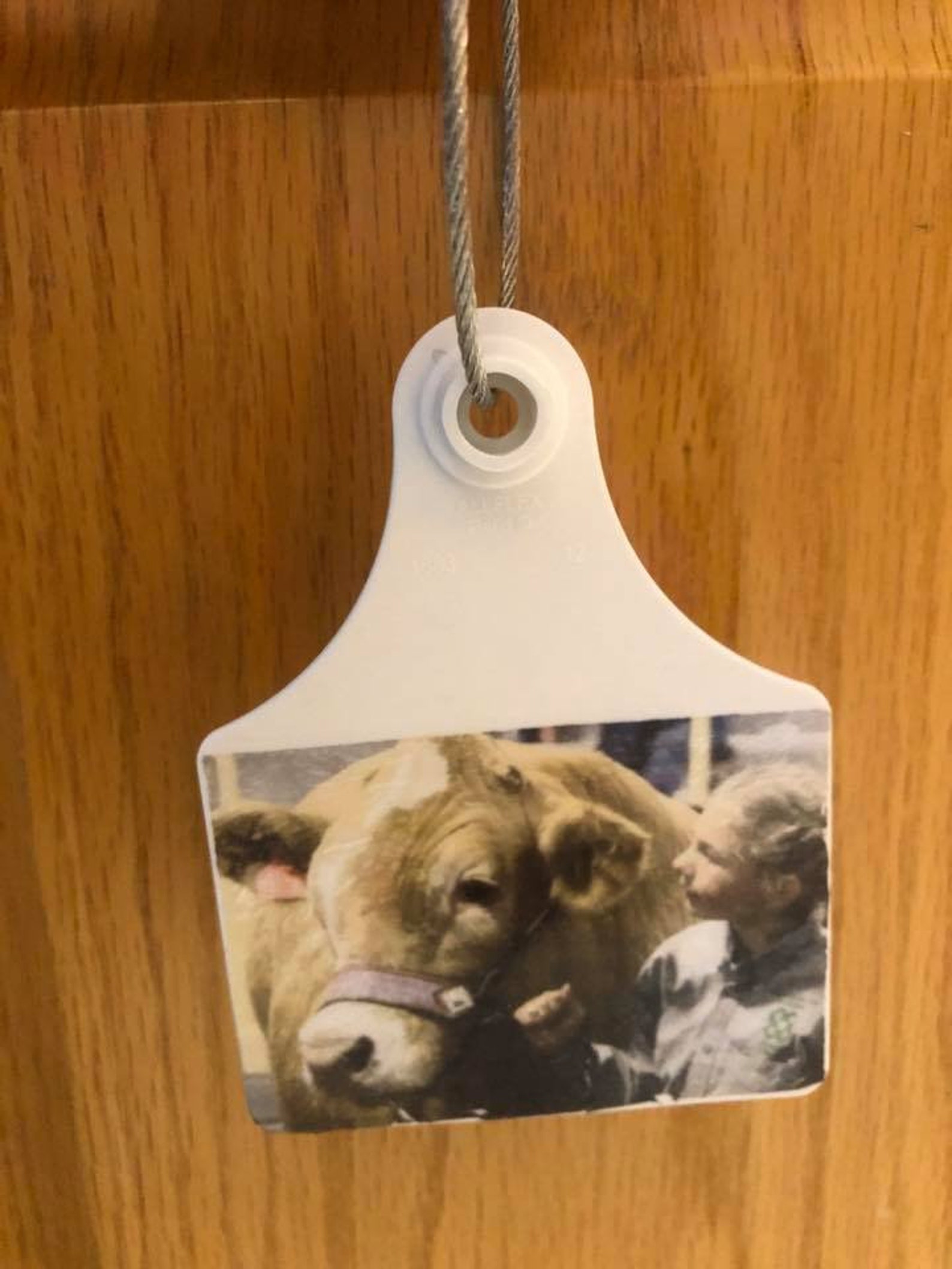 Photo Cattle Tag Etsy